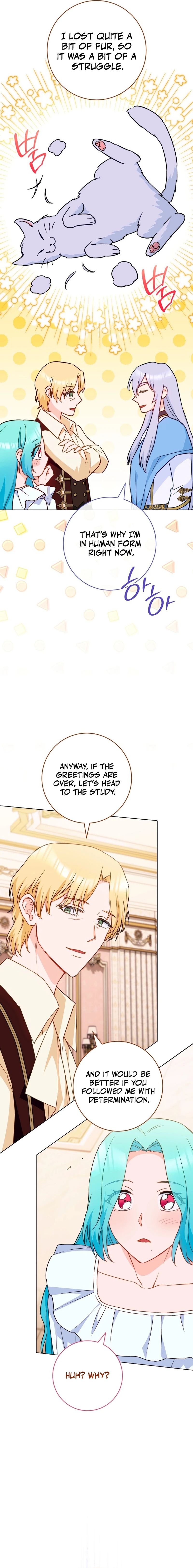 ch 164 18