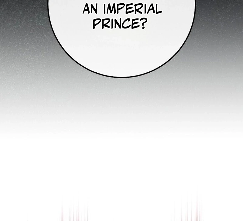 Royal Shop Of Young Lady Chapter 172 565 ch 172 99