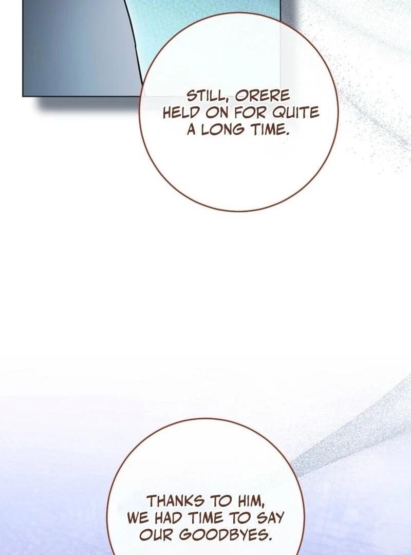 Royal Shop Of Young Lady Chapter 181 431 025