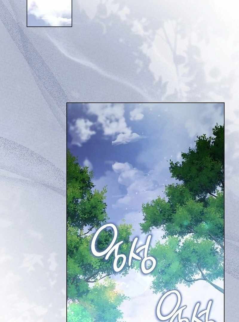 029