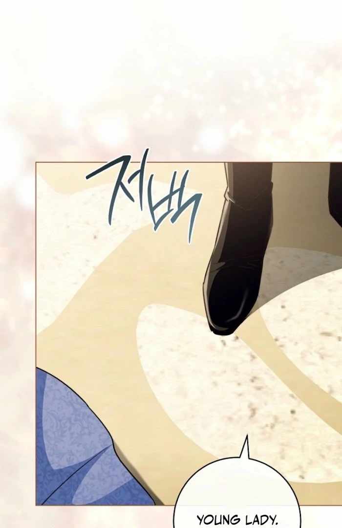 Royal Shop Of Young Lady Chapter 186 380 052