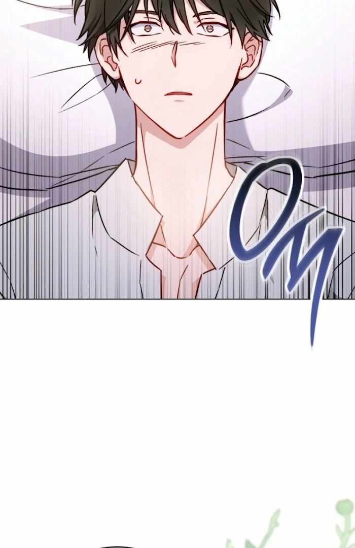 Royal Shop Of Young Lady Chapter 188 315 11