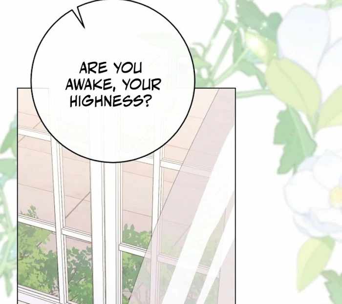 Royal Shop Of Young Lady Chapter 188 316 12