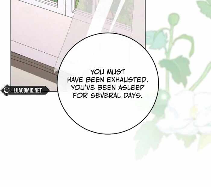 Royal Shop Of Young Lady Chapter 188 317 13