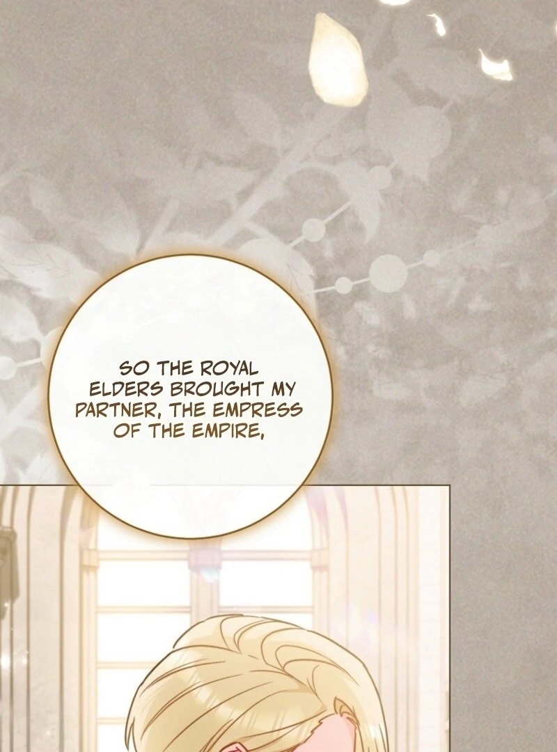 Royal Shop Of Young Lady Chapter 189 421 018