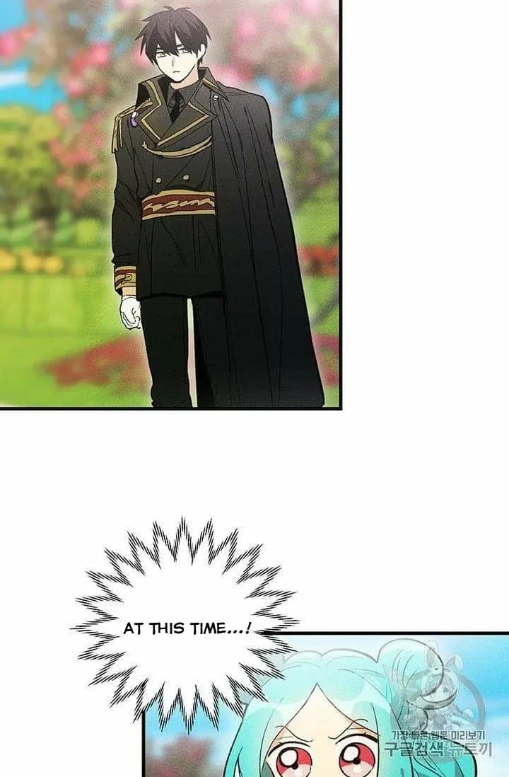 Royal Shop Of Young Lady Chapter 20.5 176 31