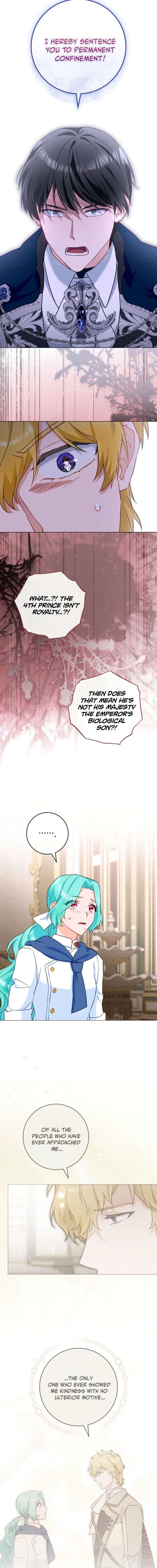 ch 213 13