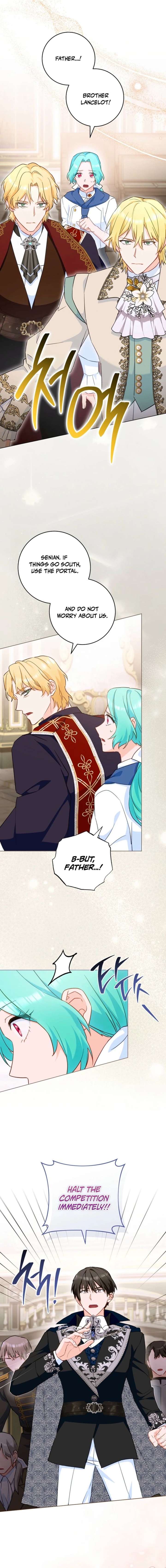 ch 213 8