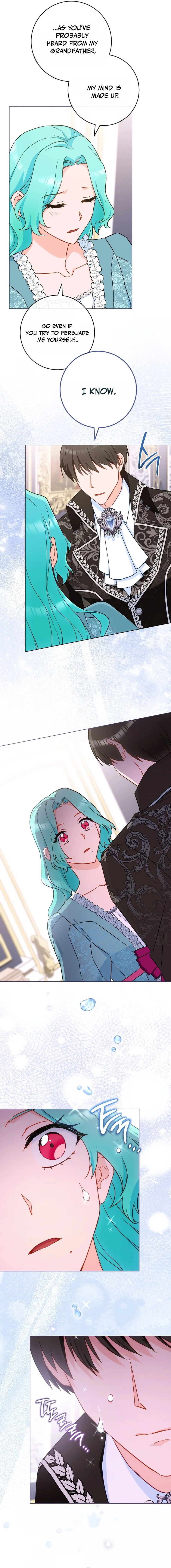 Royal Shop Of Young Lady Chapter 217 81 14