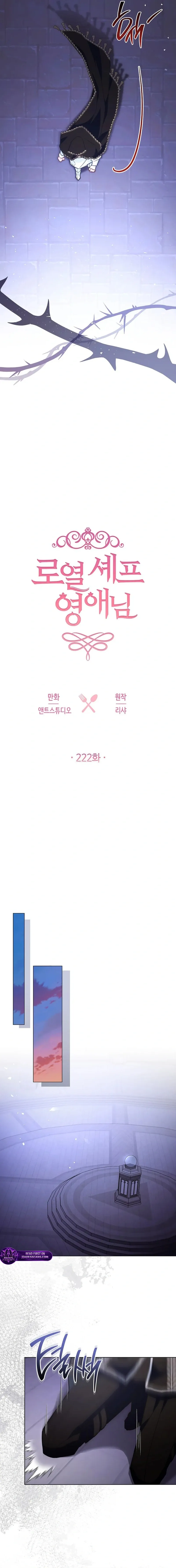Royal Shop Of Young Lady Chapter 222 65 d815b8bb3604