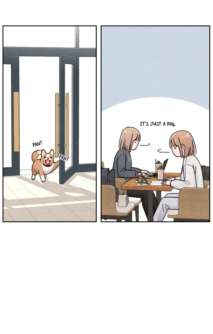 091