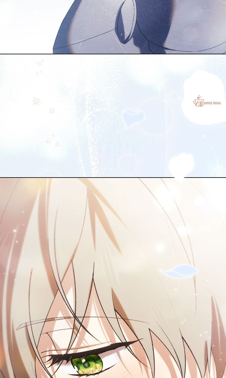 ch 40 85