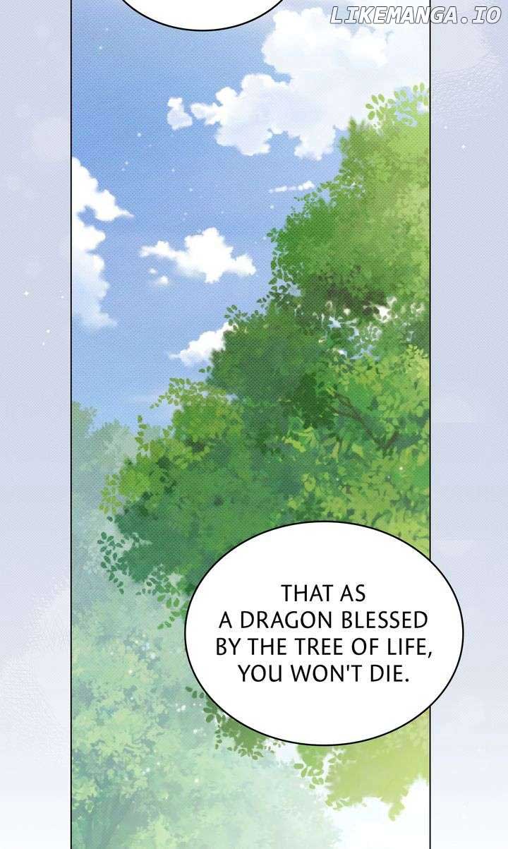 ch 51 62
