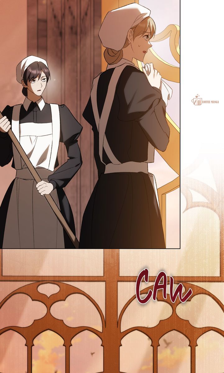 ch 61 39