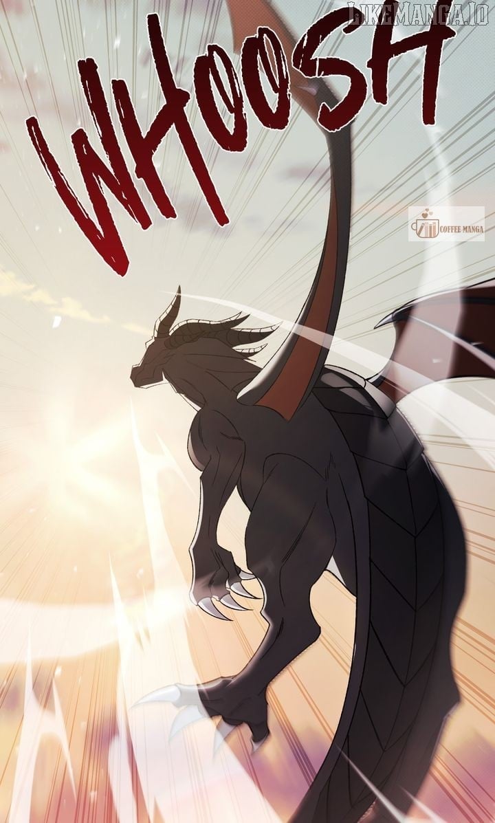 81