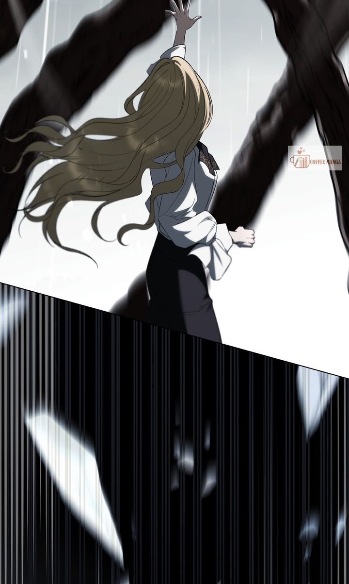 81