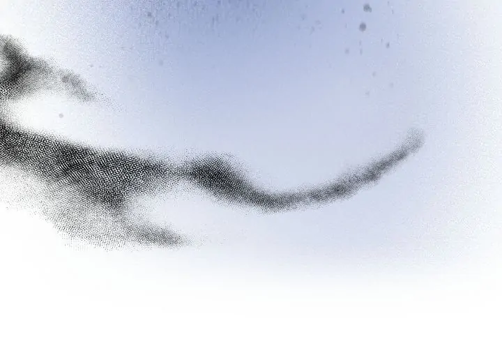 51