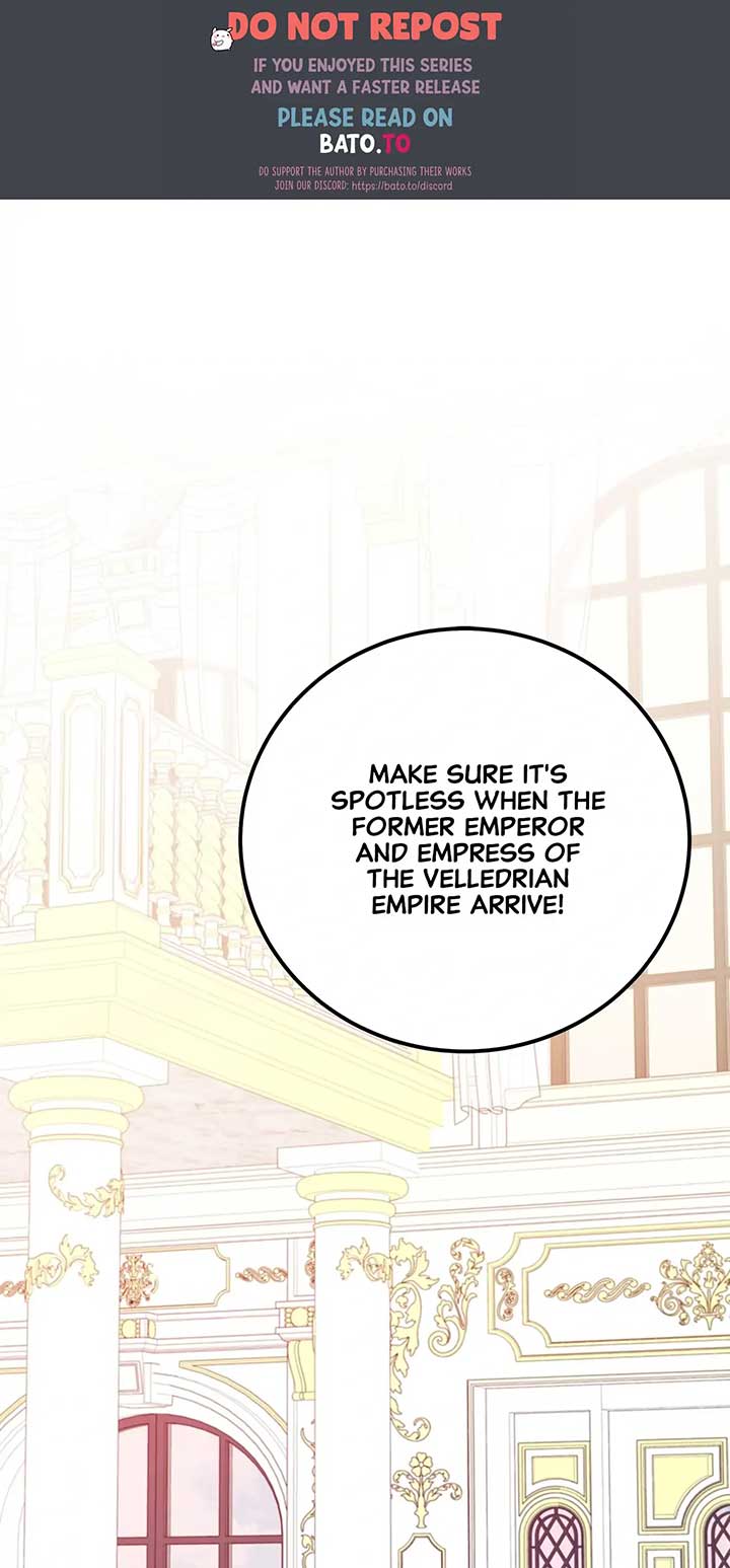 ch 95 1