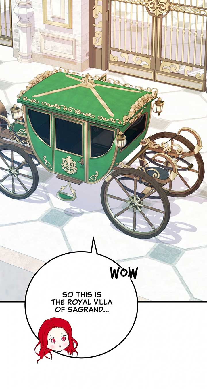 ch 95 16