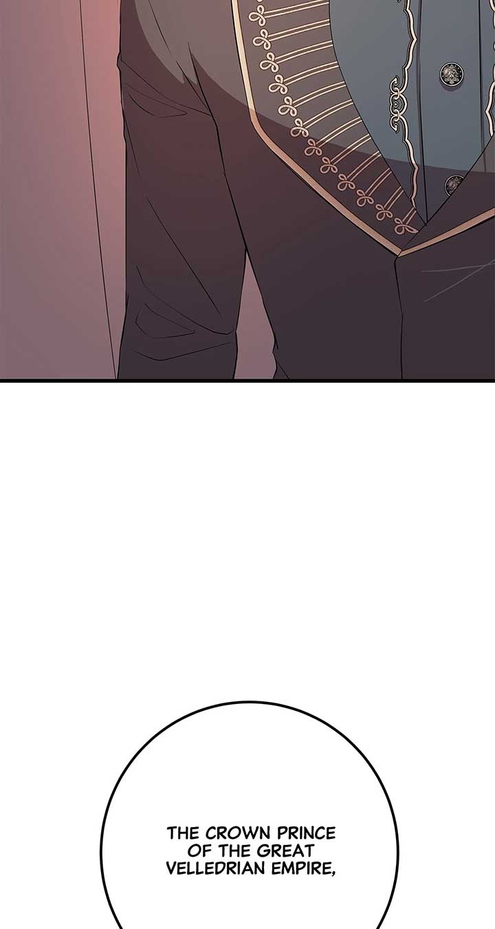ch 96 81