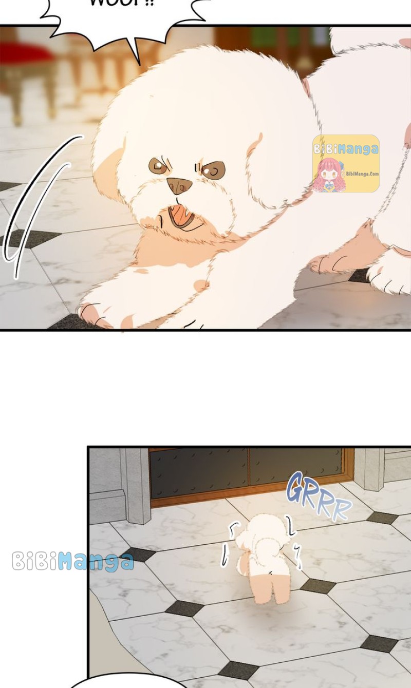 If You Want a Fake Sister Chapter 22 268 23