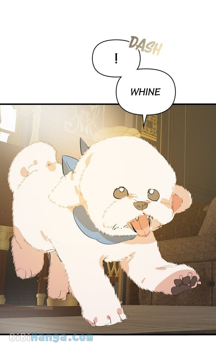 If You Want a Fake Sister Chapter 29 269 19