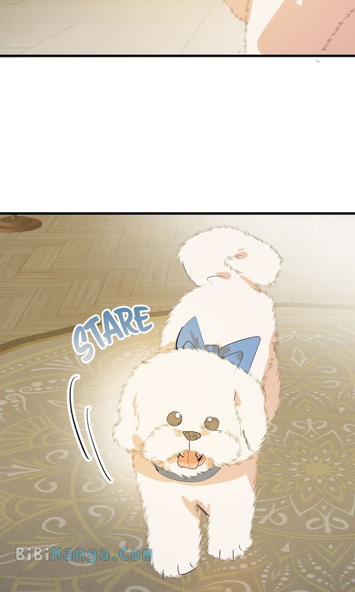 If You Want a Fake Sister Chapter 29 284 34