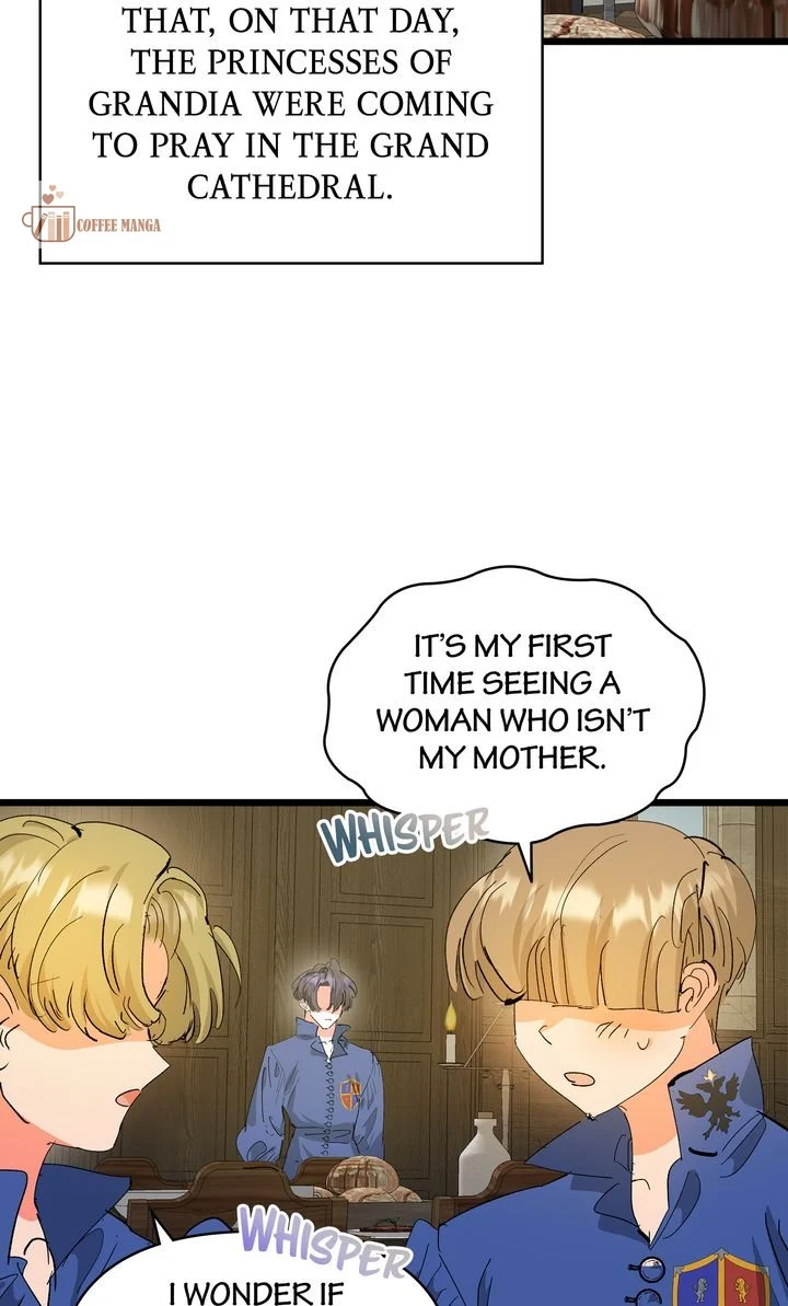 If You Want a Fake Sister Chapter 46 258 15