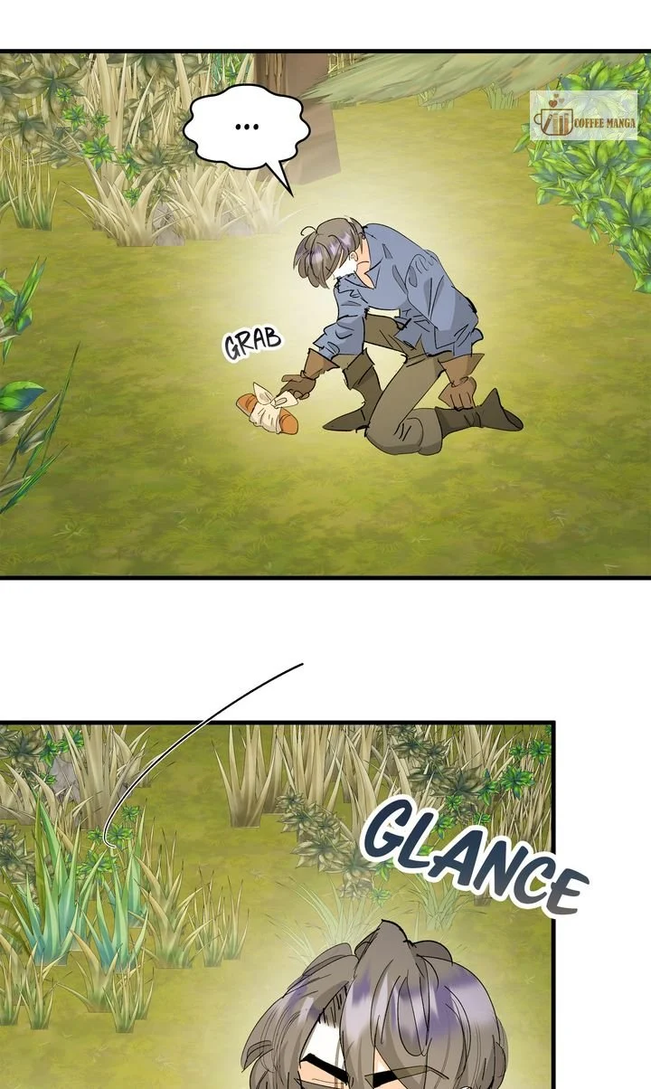66