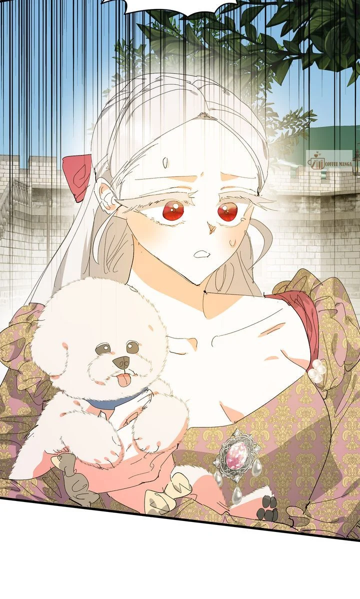 If You Want a Fake Sister Chapter 64 362 85