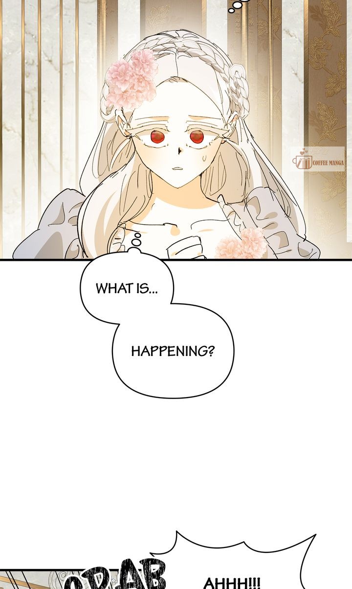 ch 74 37
