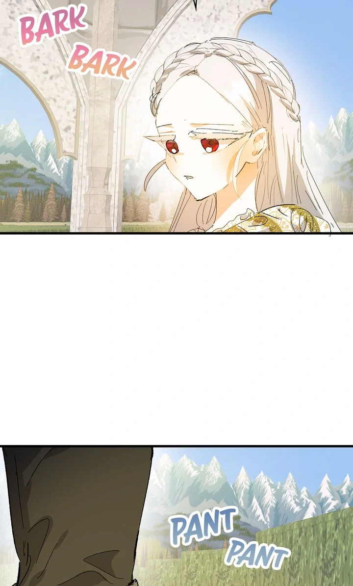 ch 78 66