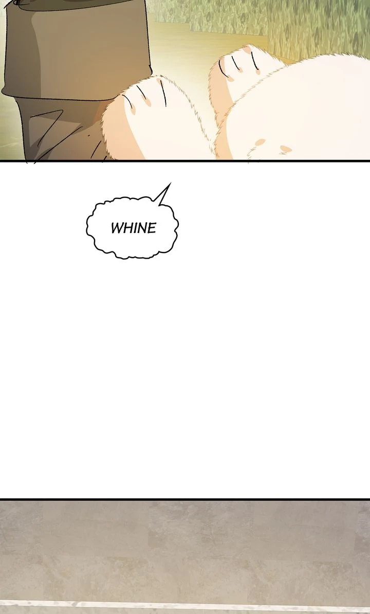 ch 78 67
