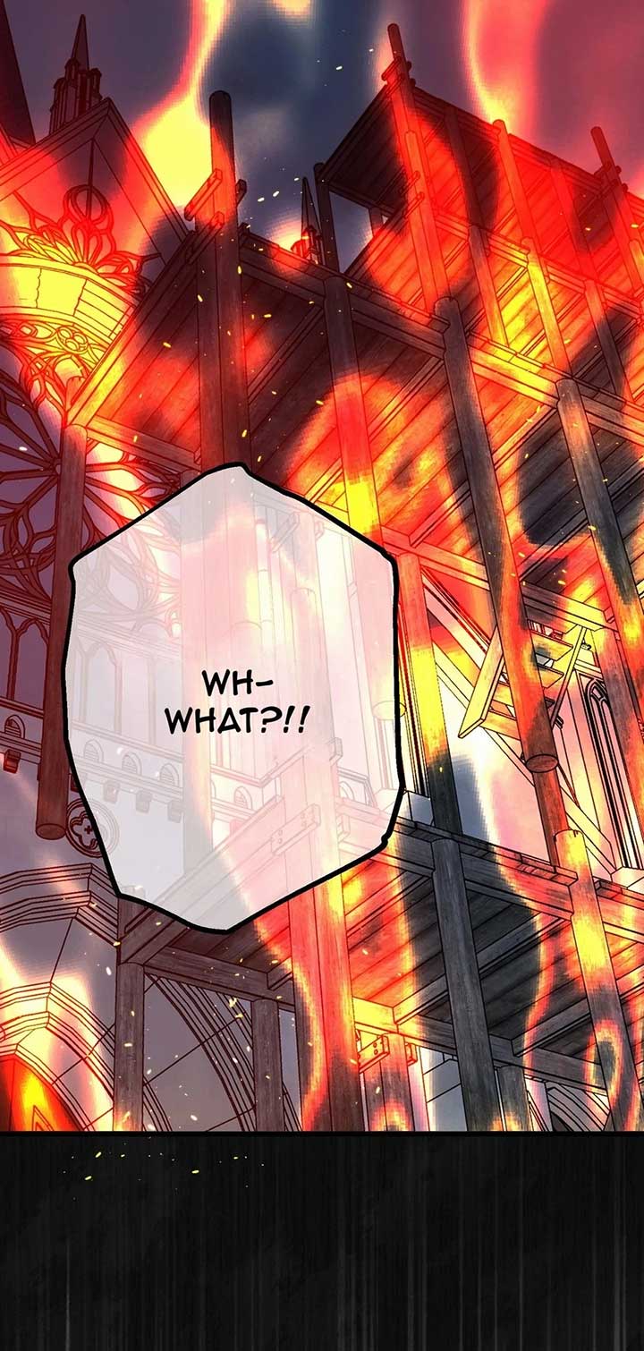 ch 42 46
