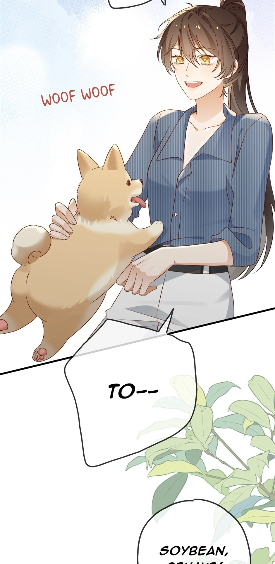 ch 141 31
