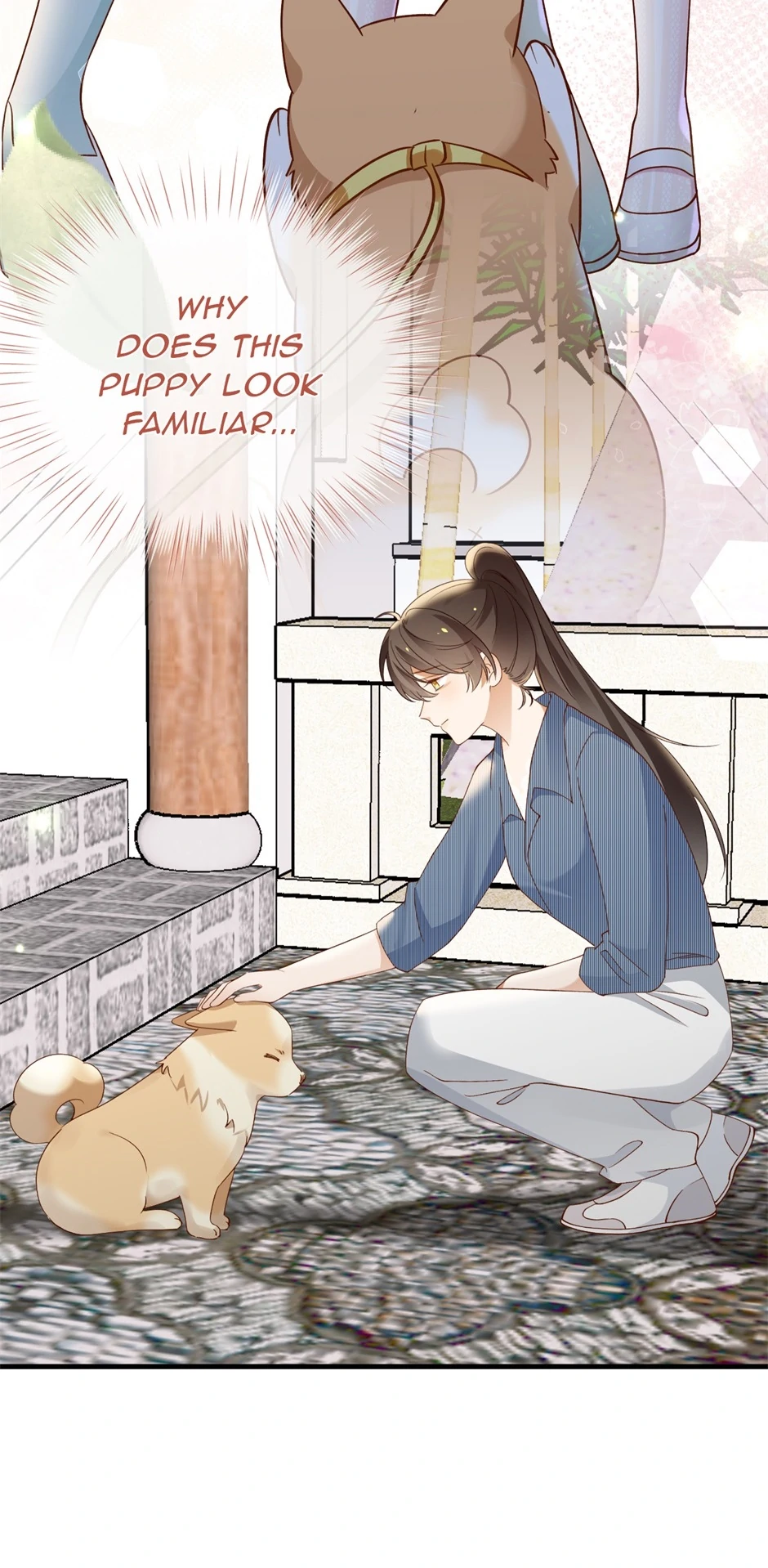 ch 141 33