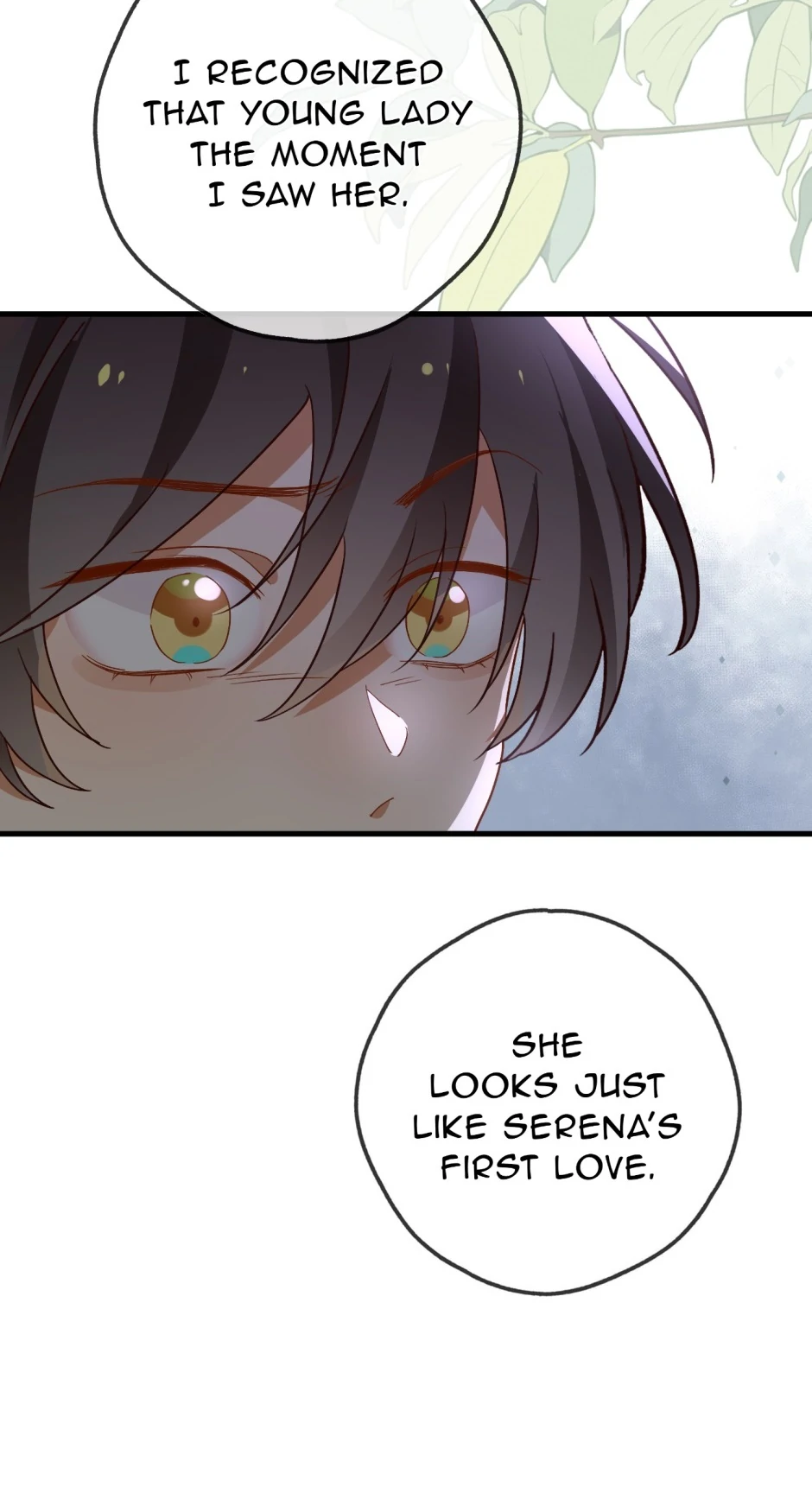 ch 142 33