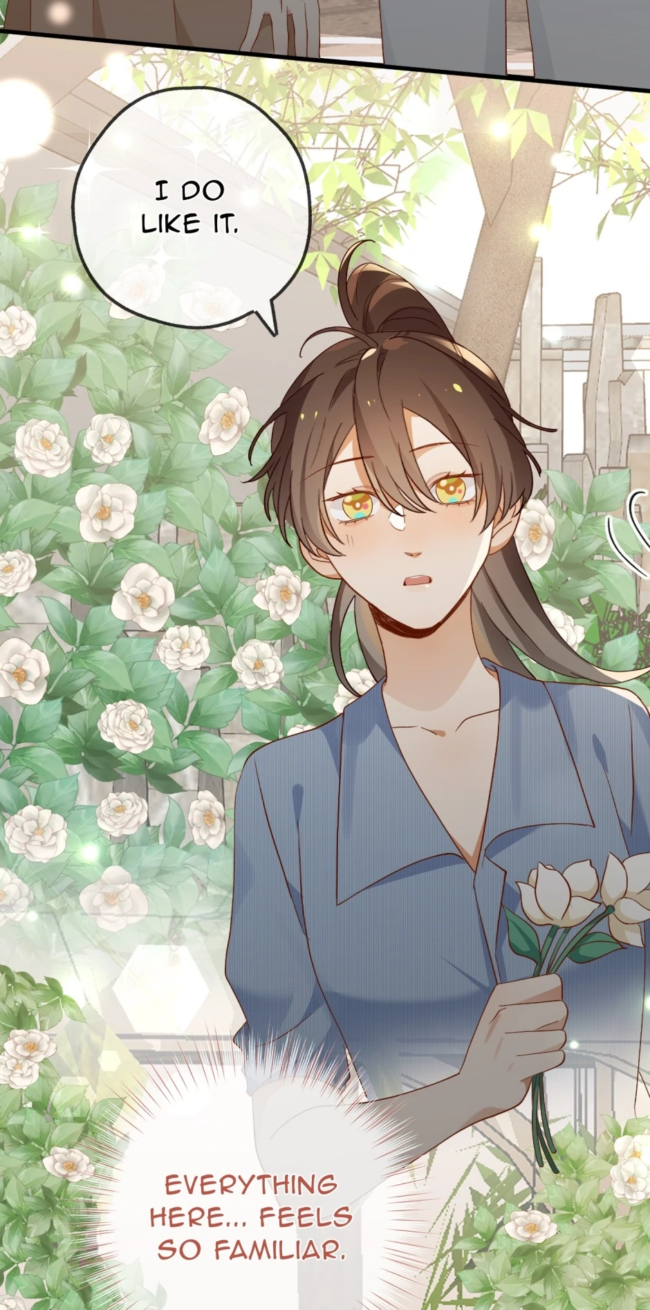 ch 142 6
