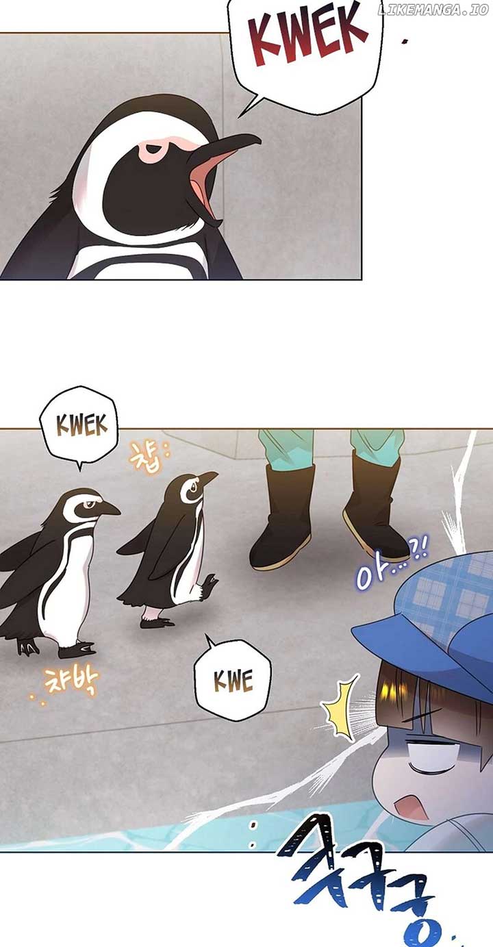 ch 52 28