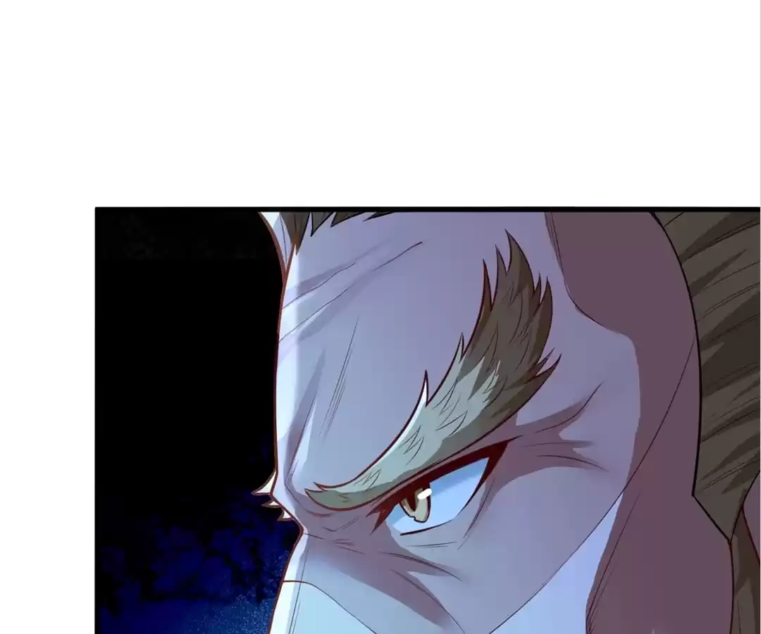The Godly Son-in-Law of the Nation Chapter 66 251 17