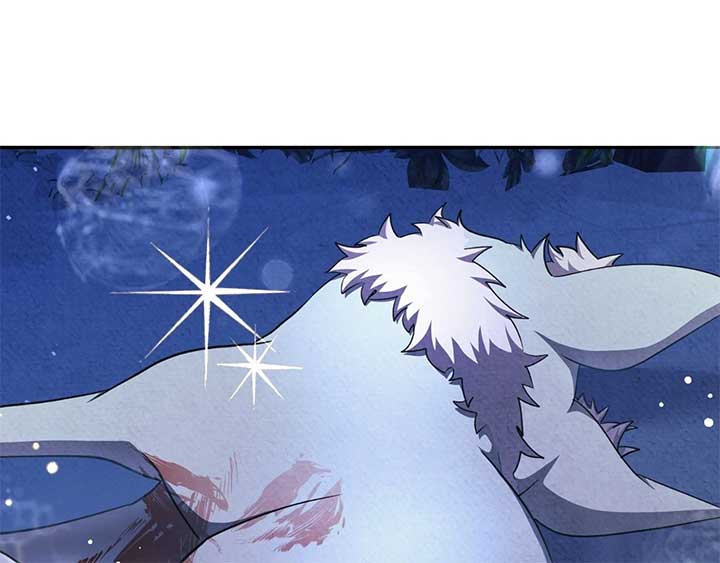 ch 24 117