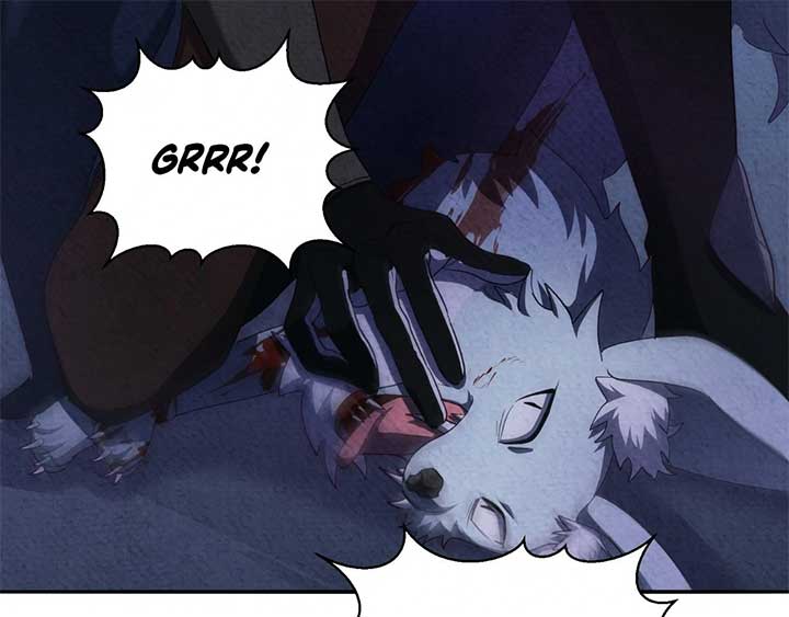 ch 24 77