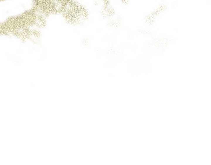 ch 27 147