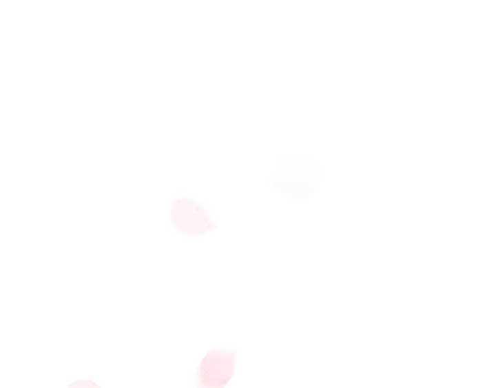 ch 29 207