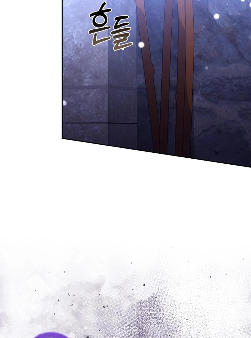 ch 95 135