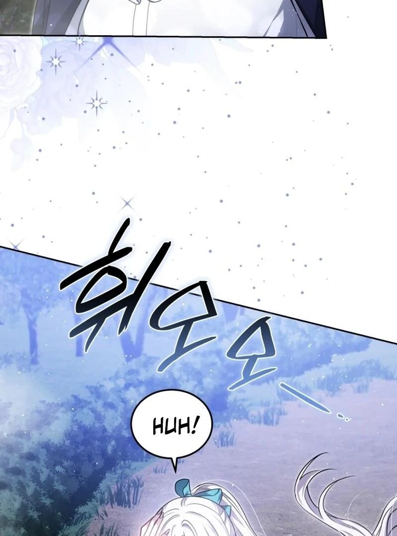 ch 95 19