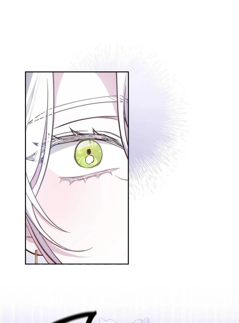 ch 95 21