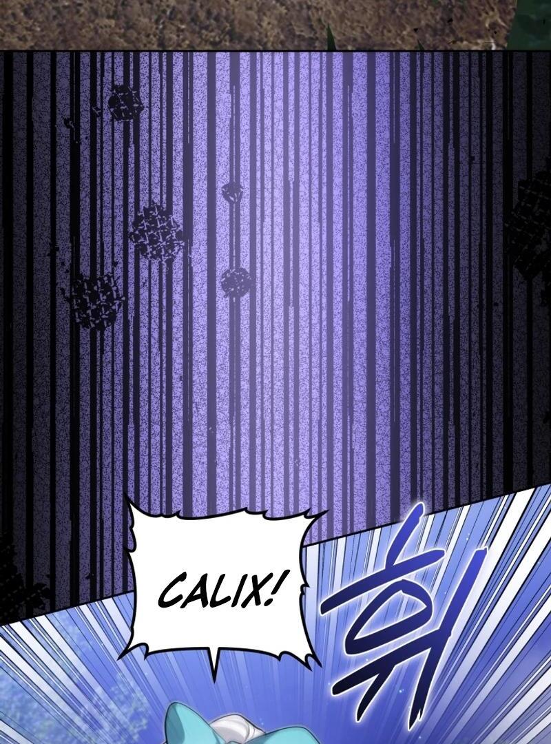 ch 95 29