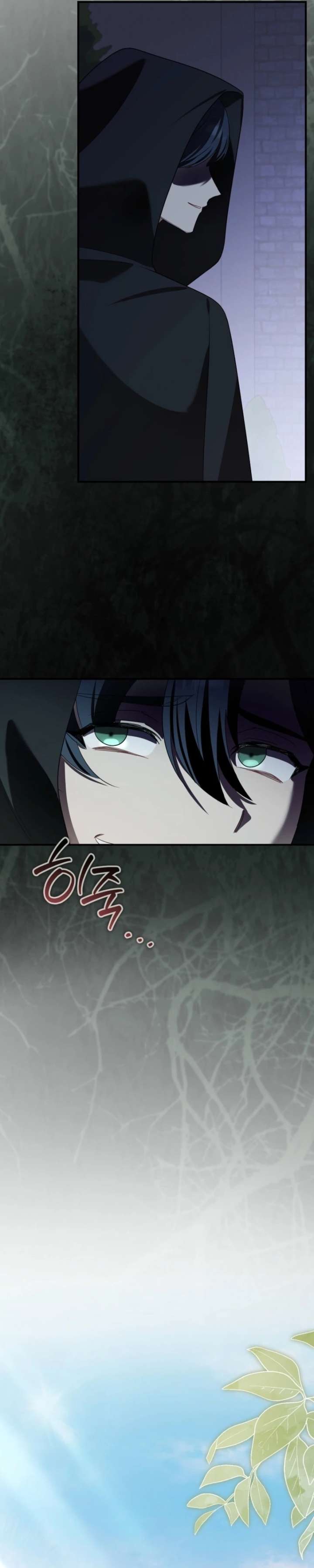 ch 86 20