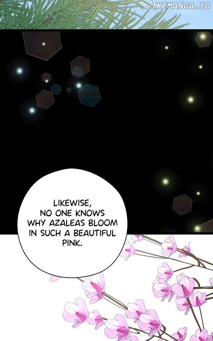 ch 64 41
